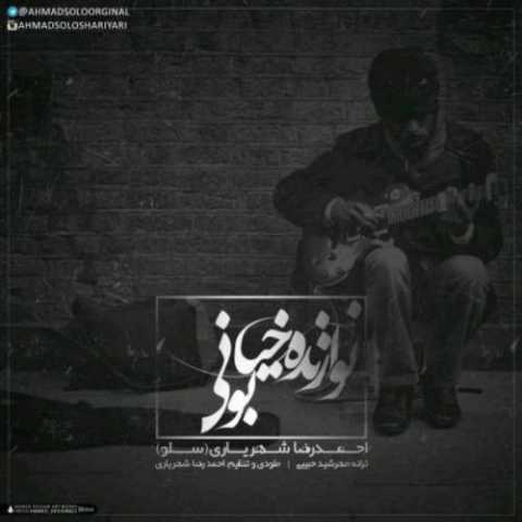 دانلود آهنگ احمد سلو نوازنده خیابانی