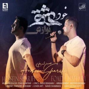 دانلود آهنگ ایوان بند خود عشق (نوازش)