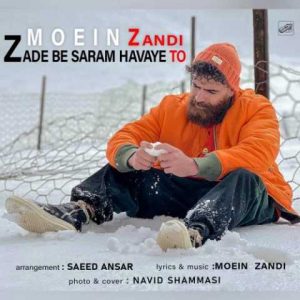 دانلود آهنگ معین زندی زده به سرم هوای تو