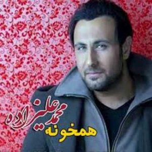 دانلود آهنگ محمد علیزاده گل یاس