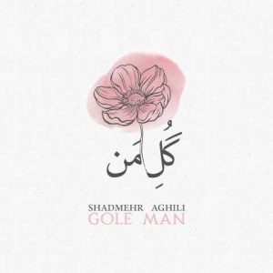 دانلود آهنگ شادمهر عقیلی گل من (اجرای زنده)