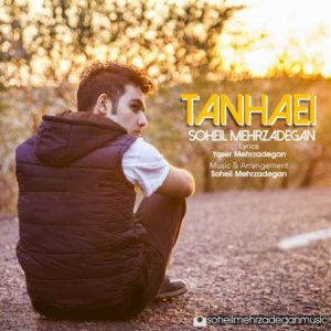 دانلود آهنگ سهیل مهرزادگان تنهایی