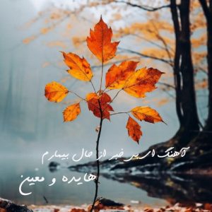 دانلود آهنگ هایده و معین ای بی خبر از حال بیمارم