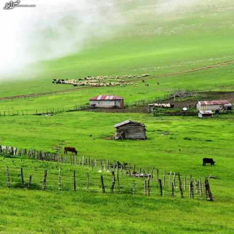 دانلود آهنگ غمگین طولانی تالشی