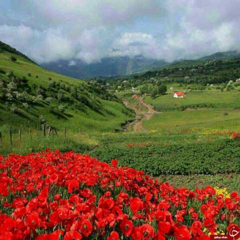 دانلود آهنگ شاد عروسی تالشی