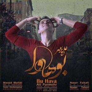 دانلود آهنگ ترکی علی پرمهر بو هاوا