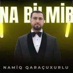 دانلود آهنگ ترکی نامیک قاراچوخورلو اینانا بیلمیرم