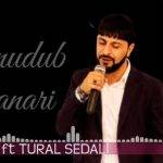 دانلود آهنگ ترکی تورال صدالی اونودوب اولانلاری