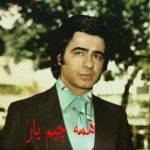 دانلود آهنگ وای وای غیر تفنگم همه چیم یار قربون تو