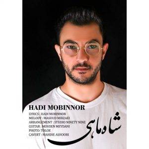 دانلود آهنگ هادی مبین نور شاه ماهی