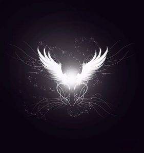 دانلود آهنگ آرمین فراتر از درد