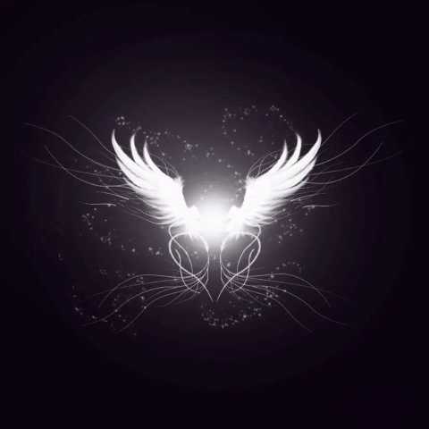 دانلود آهنگ آرمین فراتر از درد