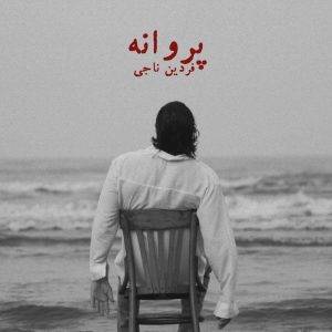دانلود آهنگ فردین ناجی پروانه