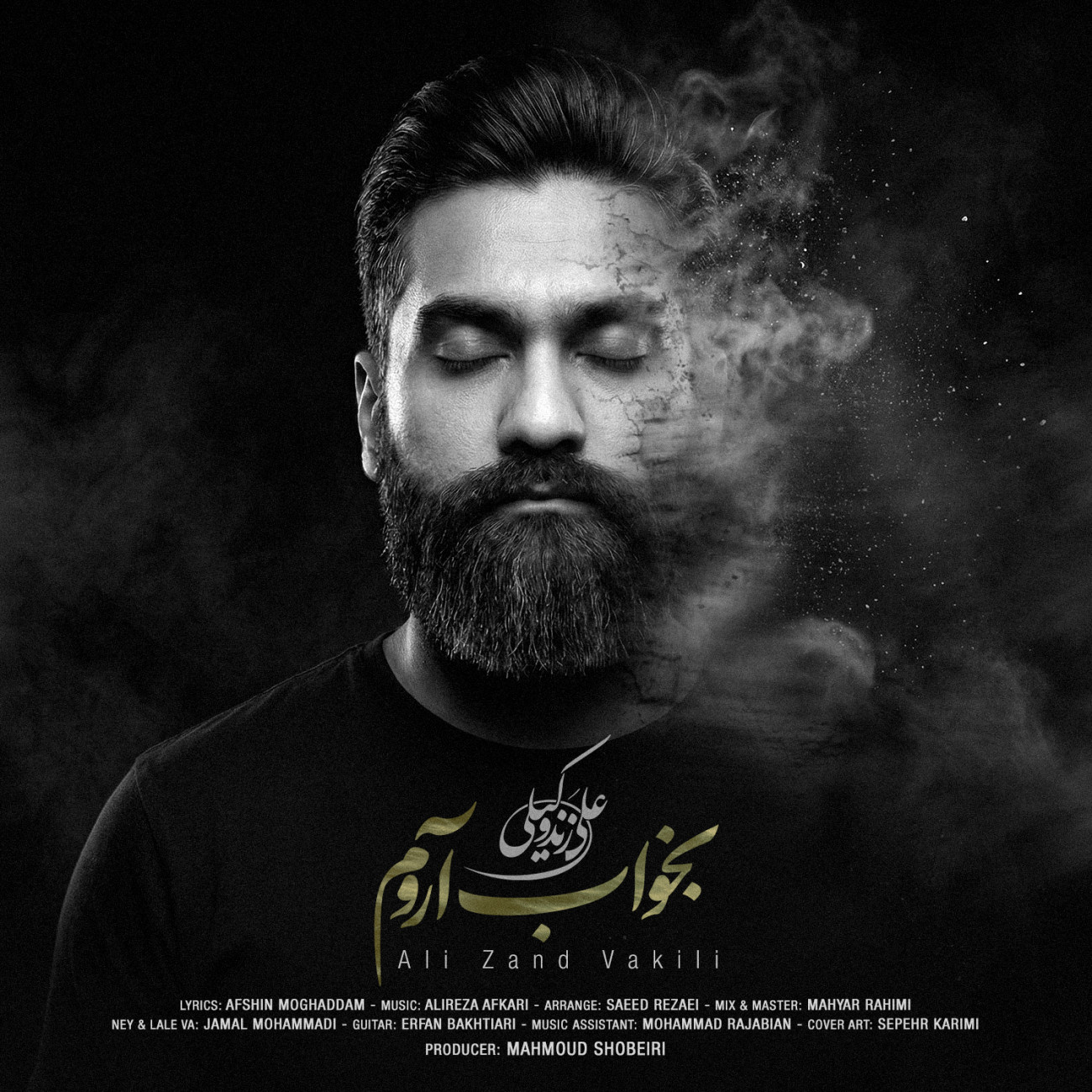 دانلود آهنگ علی زندوکیلی بخواب آروم